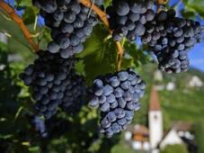 alto-adige